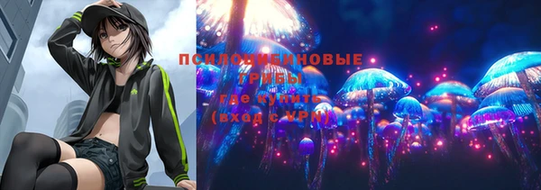 а пвп мука Баксан