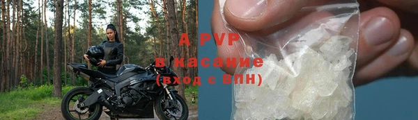 прущие грибы Армянск